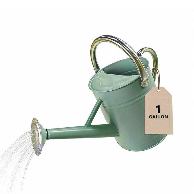 Watering Can for Outdoor&Indoor Plants，1 Gallon Metal Watering Can with with Removable Spout，Galvanized Steel Garden Flower Water Can Plant Watering Pot with 2 Stainless Steel Handles，Cream Green