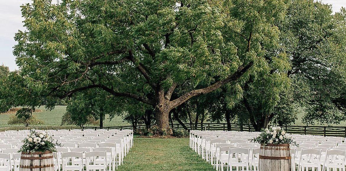 The Wedding Website of Jennifer Chin and Andrew Knauss