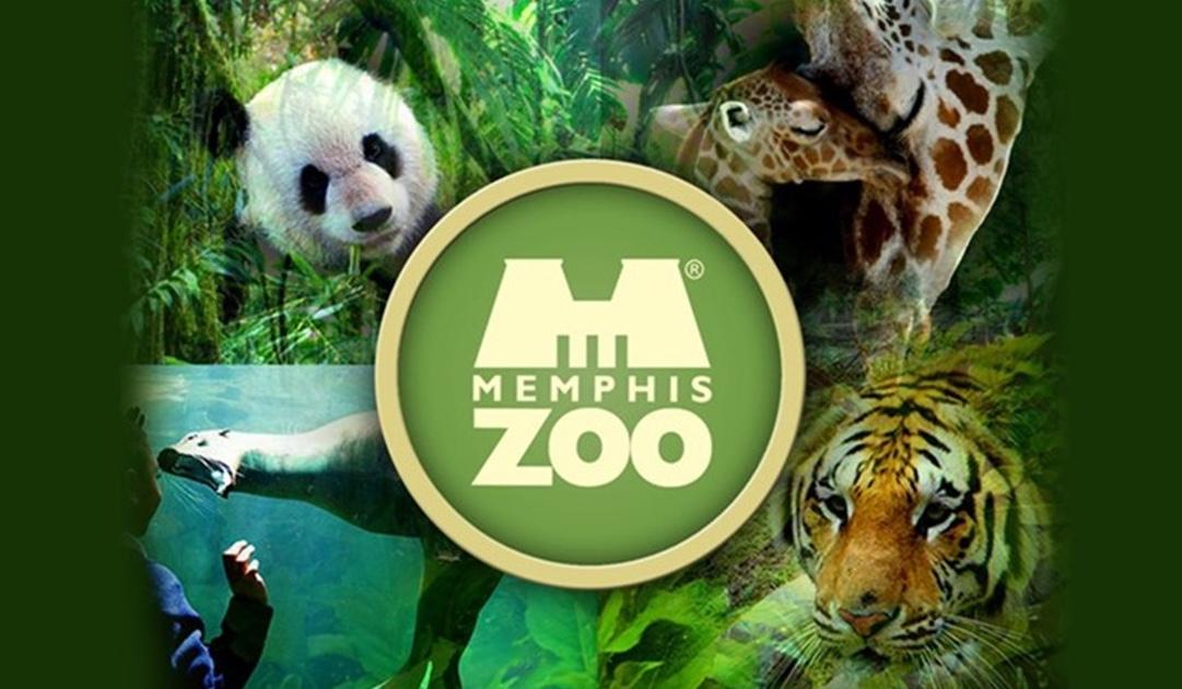 The Wedding Website of Sarah Steele and Andrew Allen