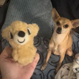 Mario's Toy Fund