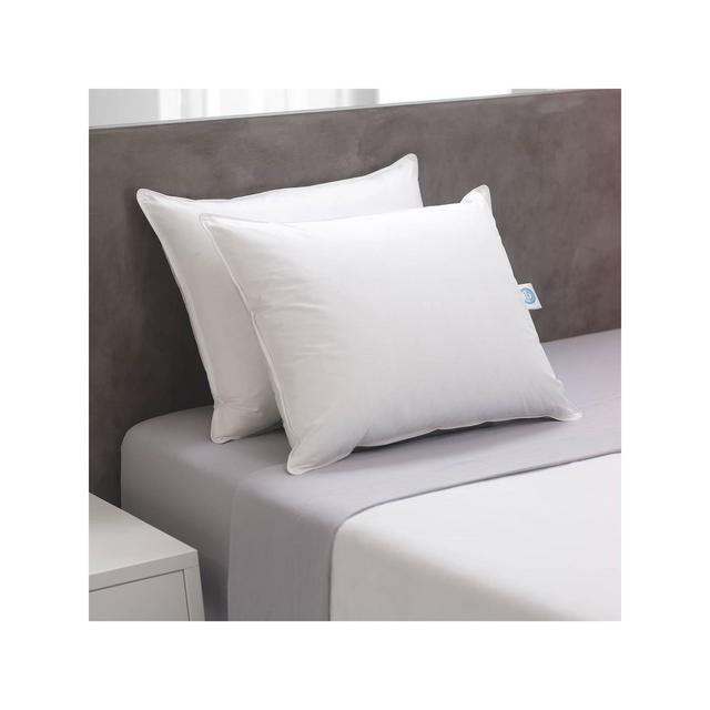 Standard 2pk Natural Prime Fiber Bed Pillow - Weatherproof