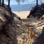 Saugatuck Dunes State Park