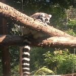 San Diego Zoo