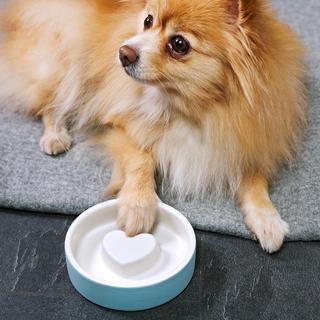 Pet Bowl
