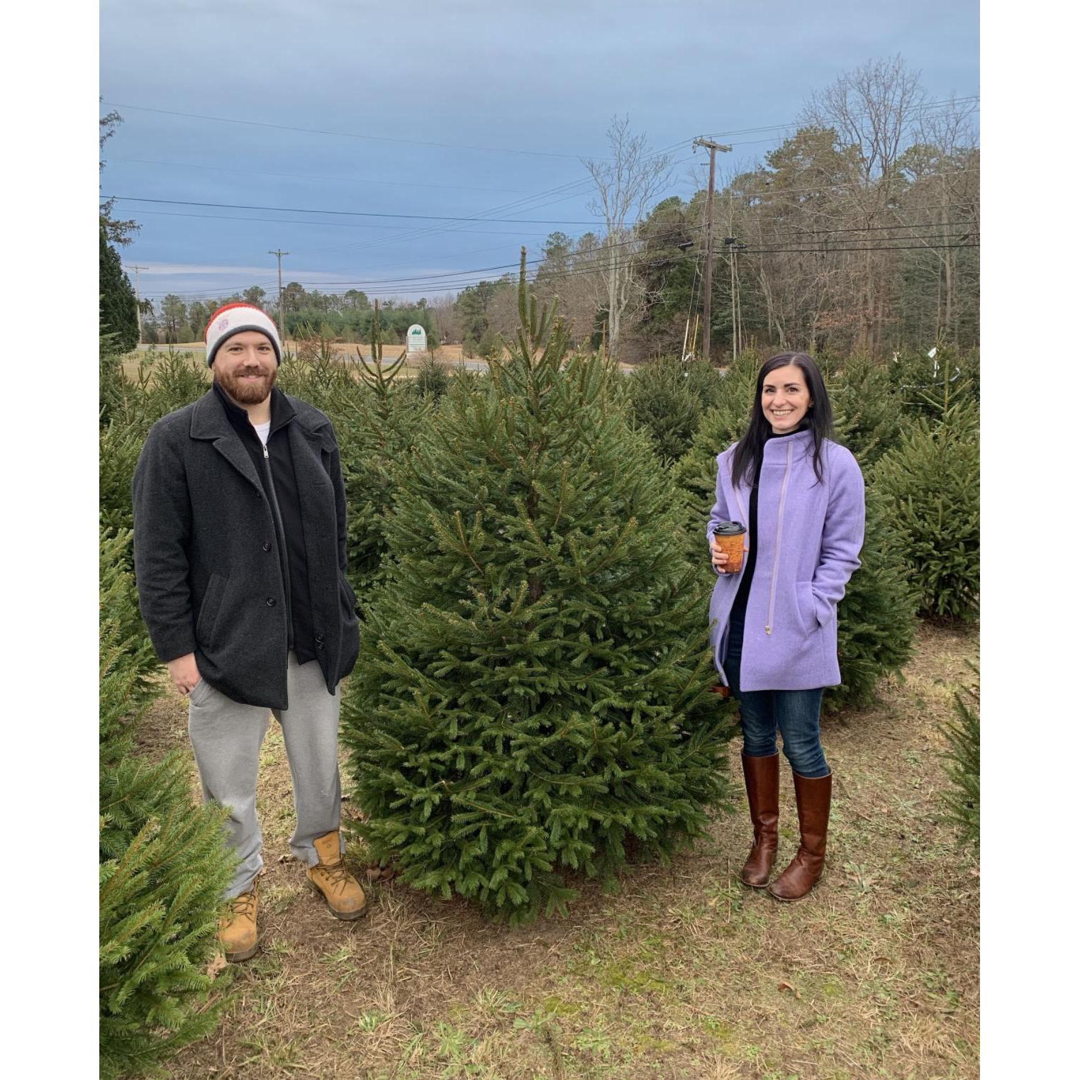 Our first tree in our new home, Christmas 2018