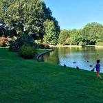 Freedom Park