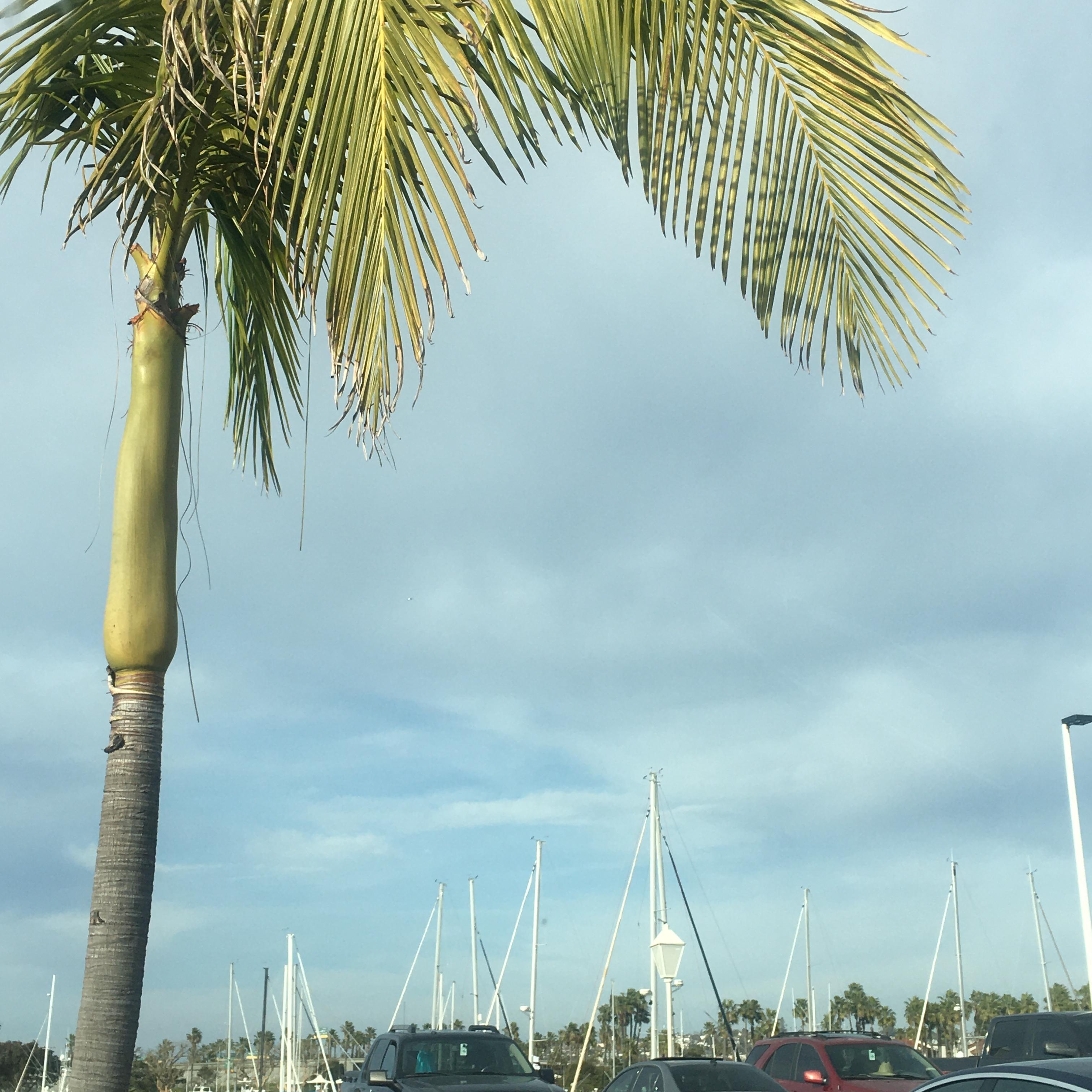 The beautiful day at the beautiful marina where Jonathan was being particularly extra in his Valentine affections