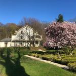 Cedarmere Park