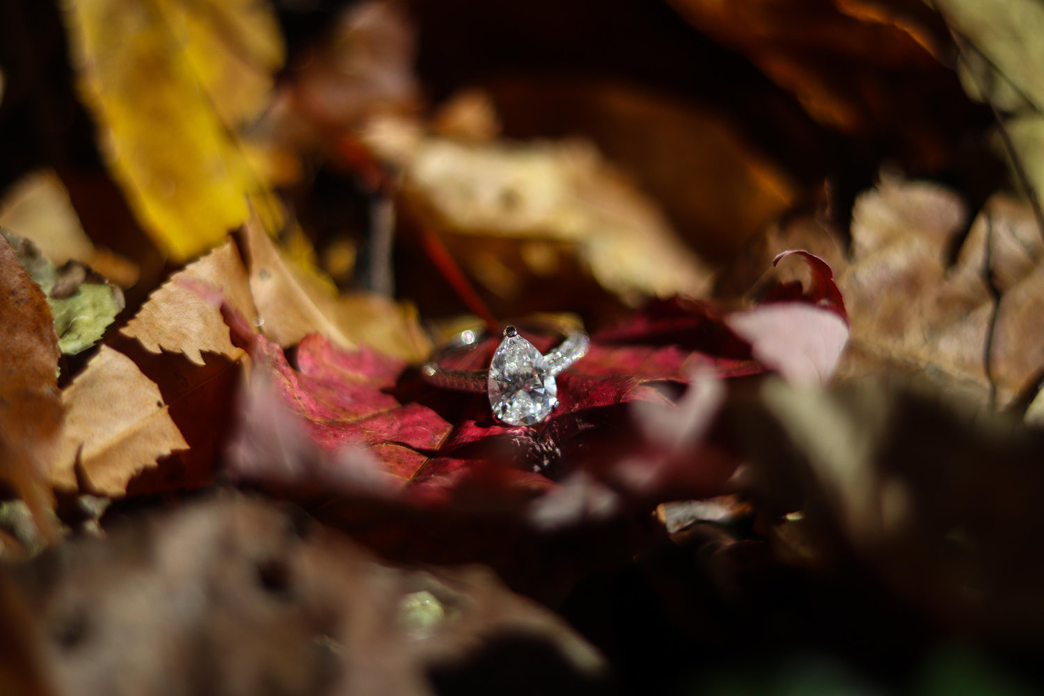 The Wedding Website of Sarah Conner and Eli Ahamed