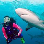 Stuart Cove's Dive Bahamas