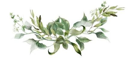 The Wedding Website of Allyson Whitney and Dusty Henson