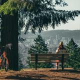 Mount Tabor