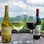Asheville's Top Wineries