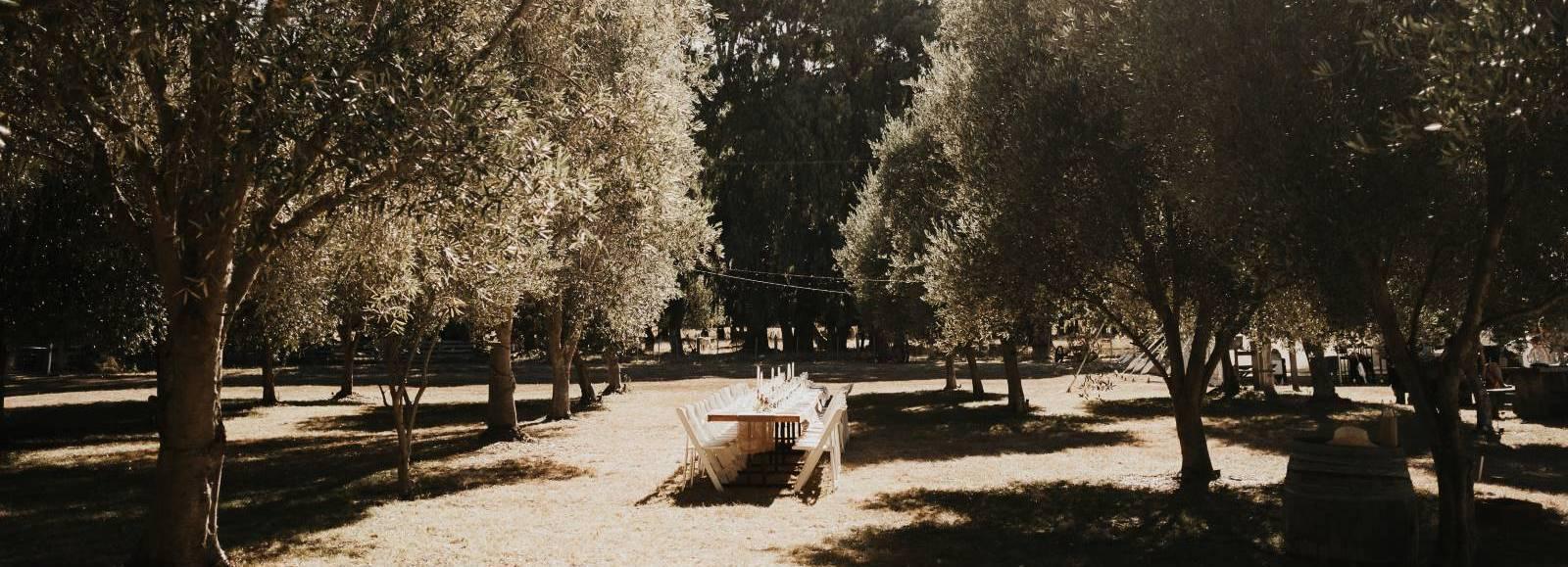 The Wedding Website of James Logan and Jazmin Menheere