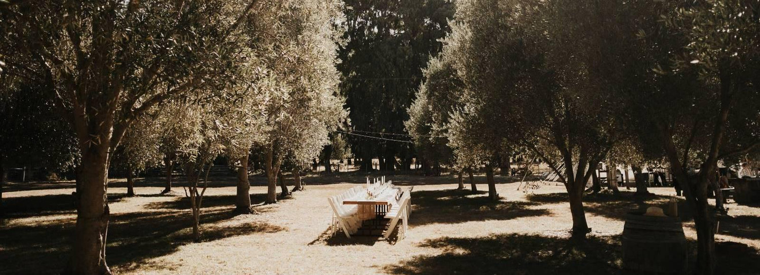 The Wedding Website of James Logan and Jazmin Menheere