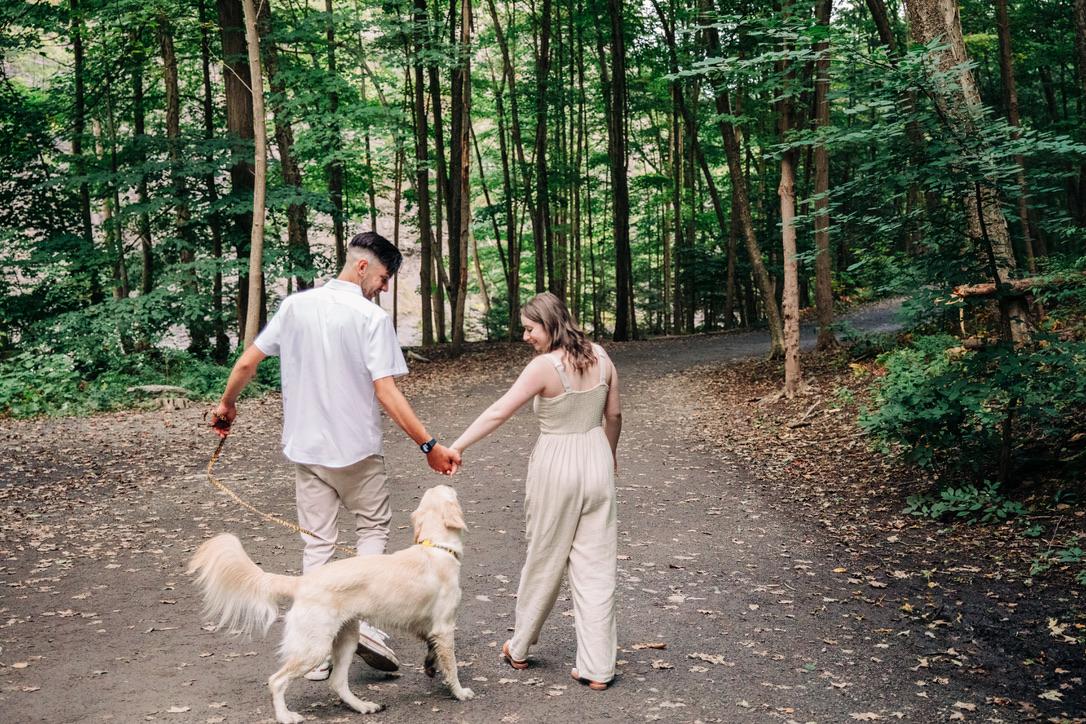 The Wedding Website of Alyssa D. Friedman and Colin J. Gowe