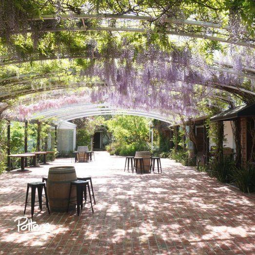 The Wedding Website of Breanna  Little and Mark  Stevens 