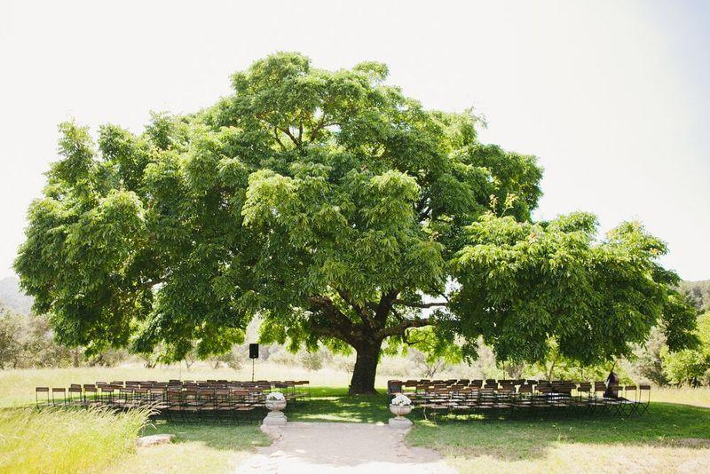 The Wedding Website of Sarah Luster and Jeremie Dezwirek