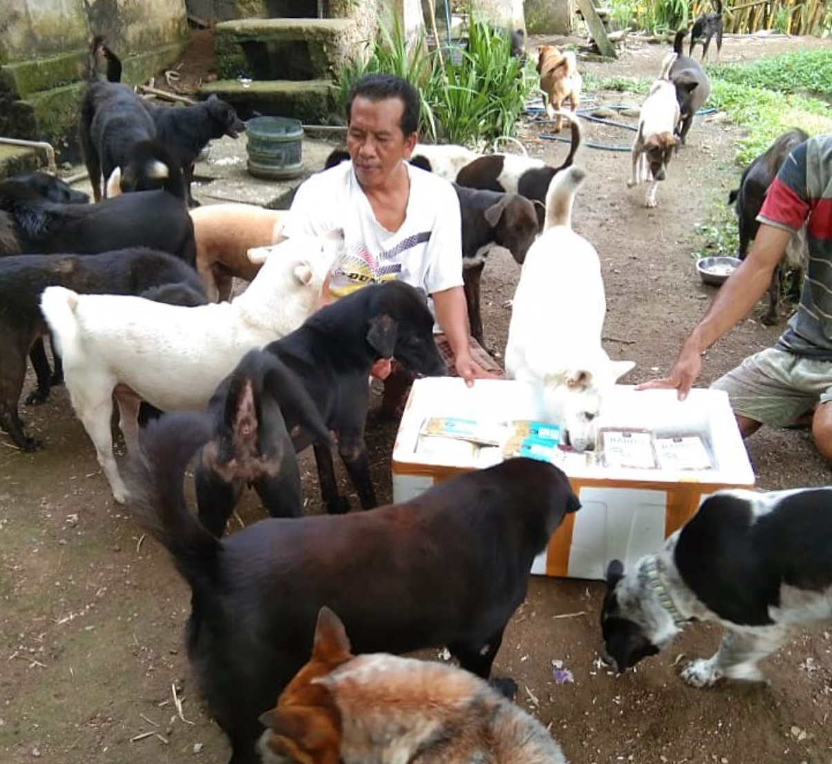 b7f2f05d-bad5-4565-b9c5-1790dce7c7de