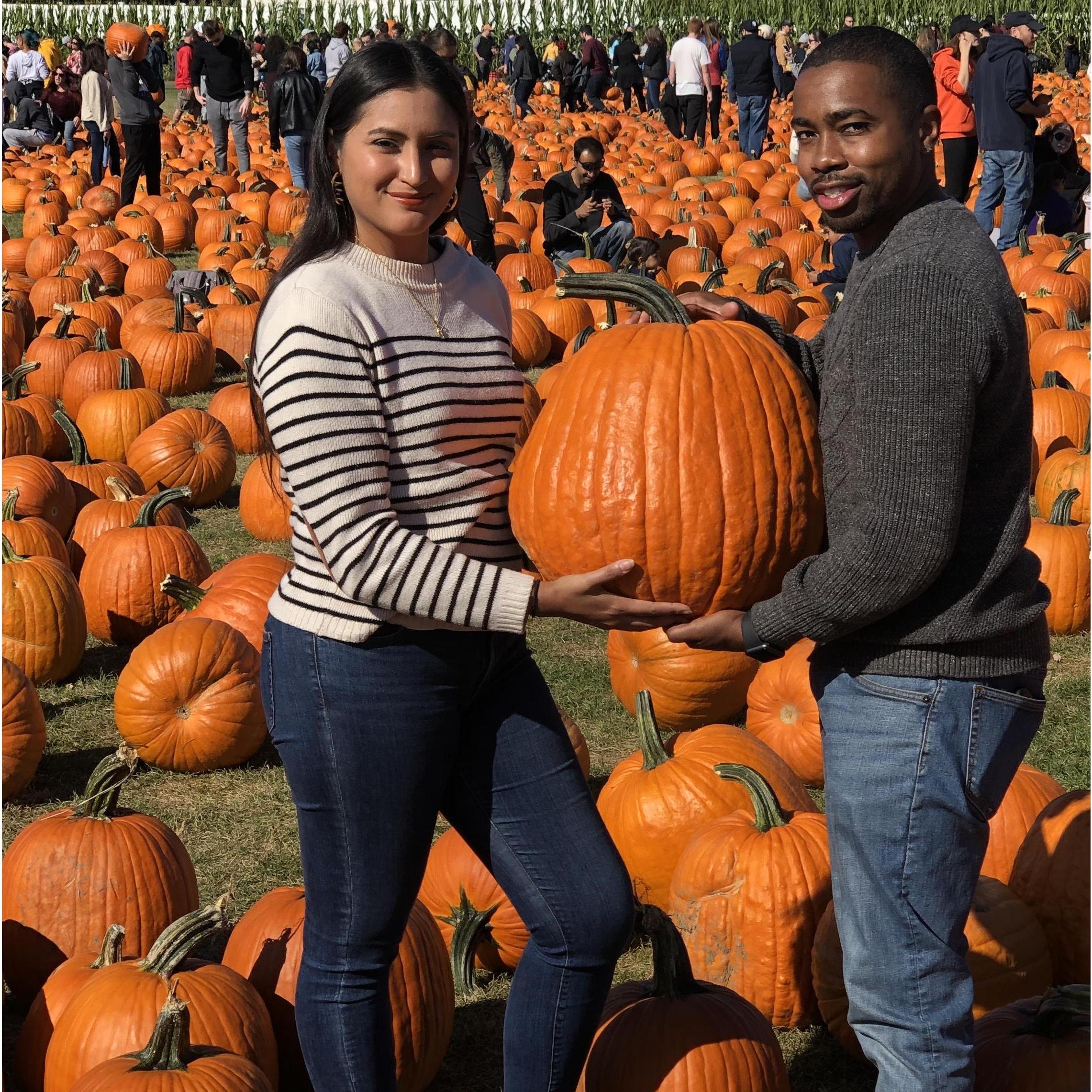 Pumkin Patch 2019