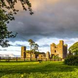 Bective Abbey