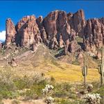 Lost Dutchman State Park