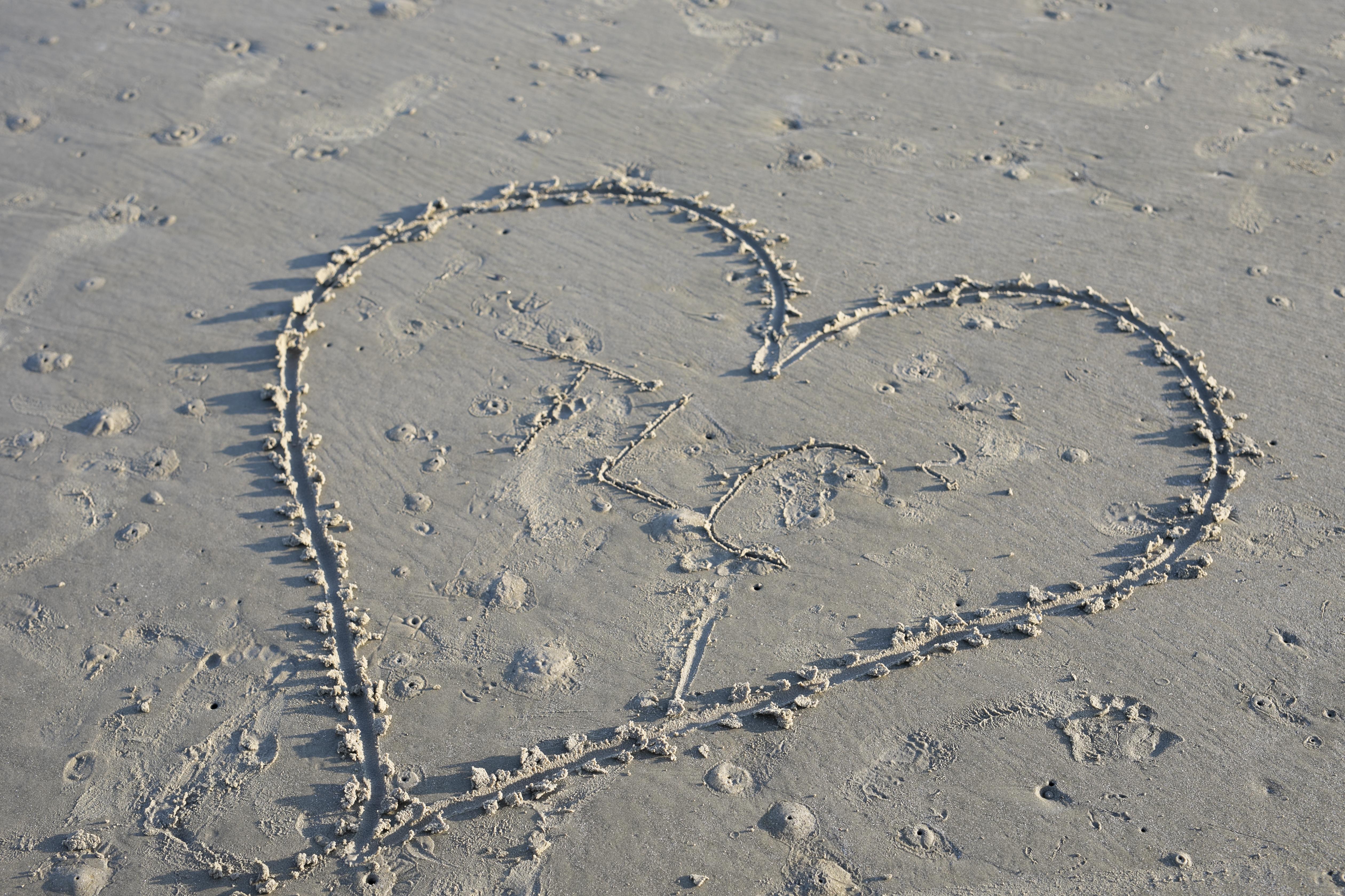 The Wedding Website of Taylor Hayes and Trent Cuhel