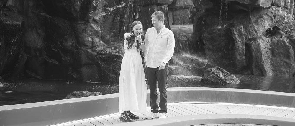 The Wedding Website of Natalie McDonald and Zachary Washburn