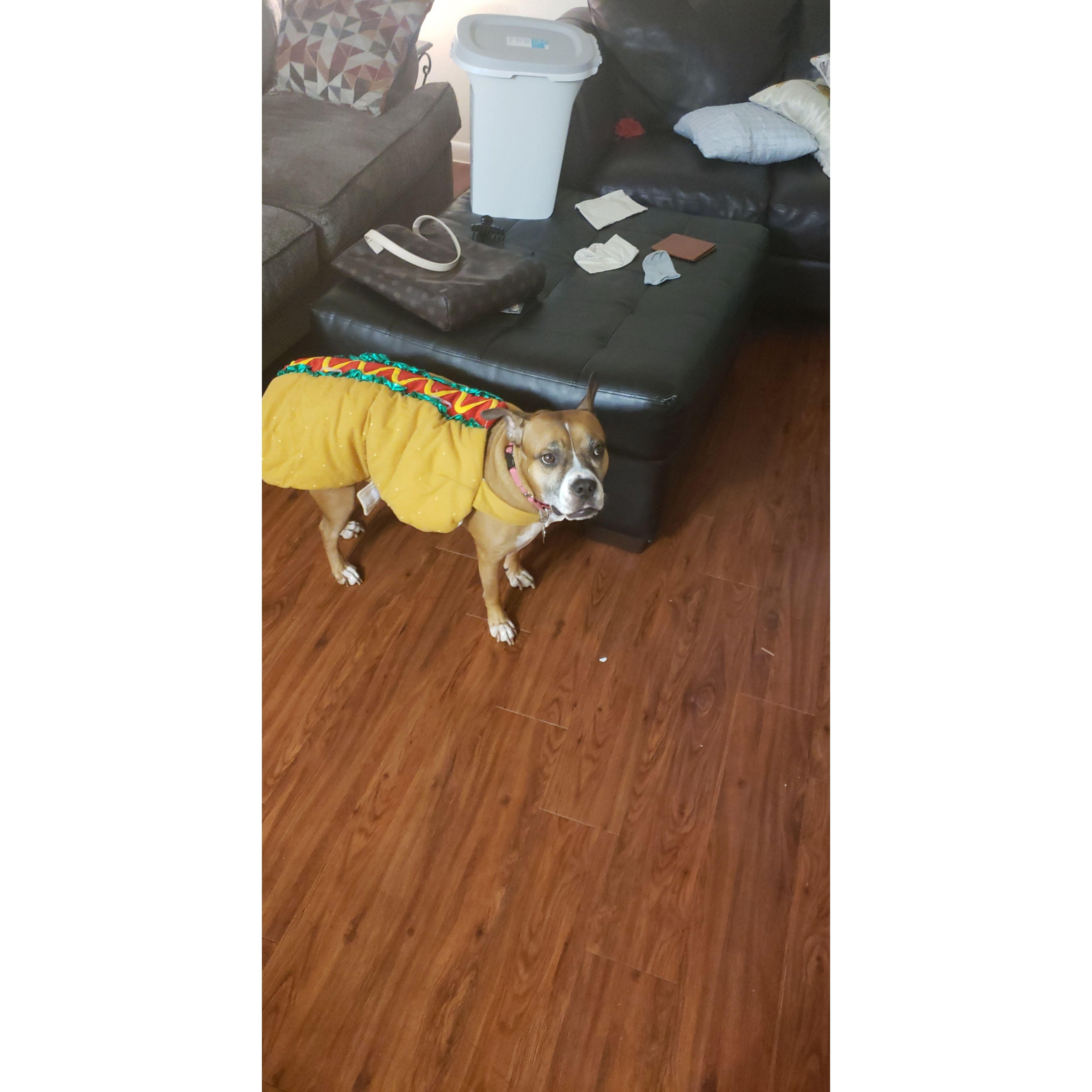 Khloe cannot join us for the wedding, but here is her dressed as a hot dog.