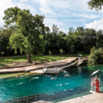 Barton Springs Municipal Pool