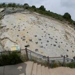 Dinosaur Ridge