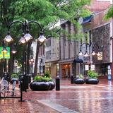 Visit Charlottesville
