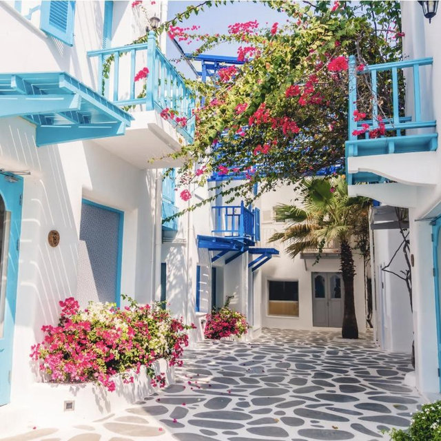 Tour and Lunch in Mykonos