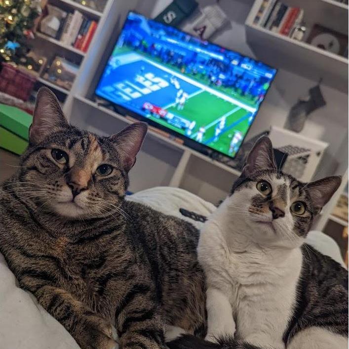 hazel + fritz, 2022