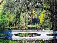 Magnolia Plantation and Gardens