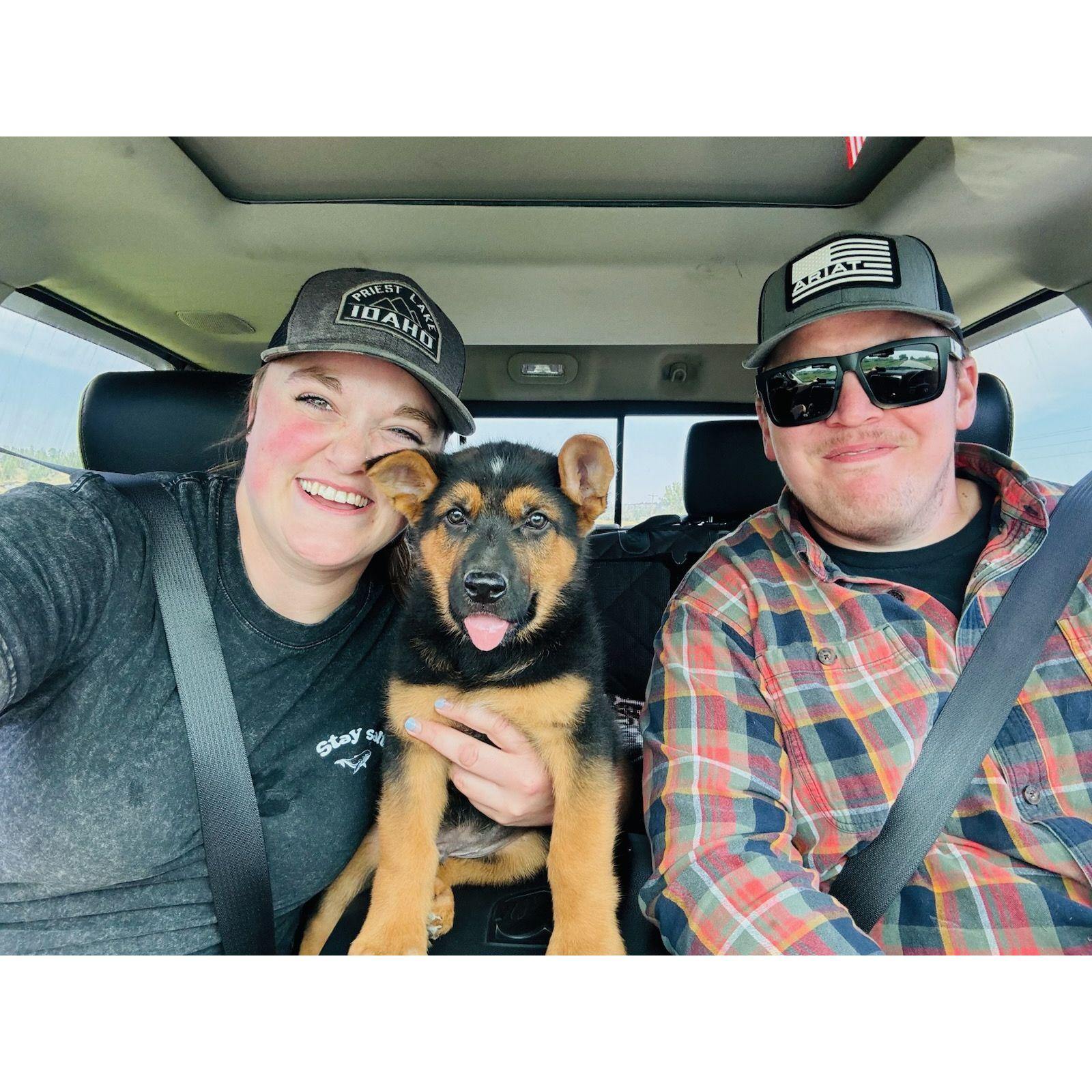August 13, 2024 - Jack and I drove to Roundup, Montana to pick up our new puppy, Ripp! We also picked up his sister, Akena, for Jack's parent's neighbors & friends, Dale and Donna. We also got to visit Jack's friend from college, Dom, and his family in Bozeman, MT while we were there too. We instantly became obsessed and fell in love with Ripp! He's such a good boy!