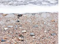 Mickler Beach