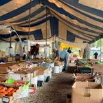 Coconut Grove Farmer's Market