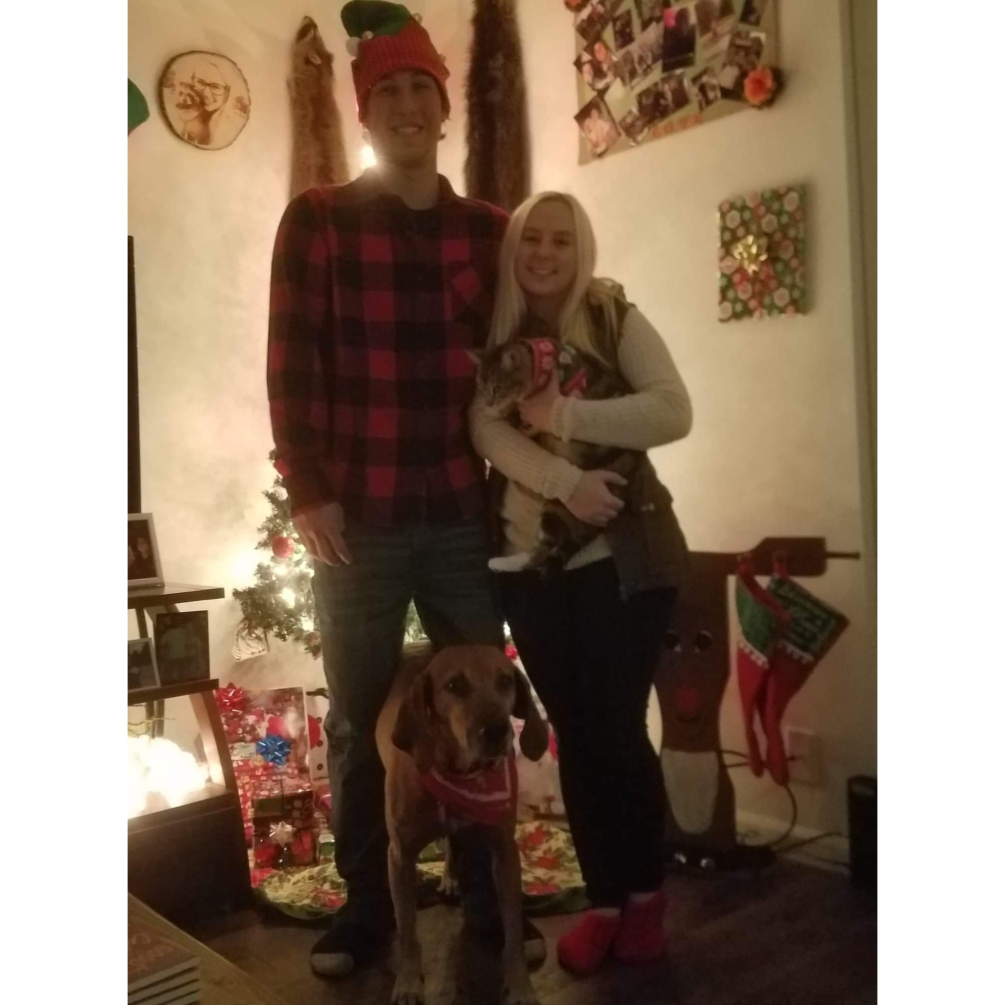 Our First Christmas in our own place!