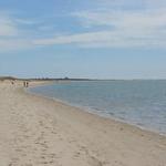 Harding Beach