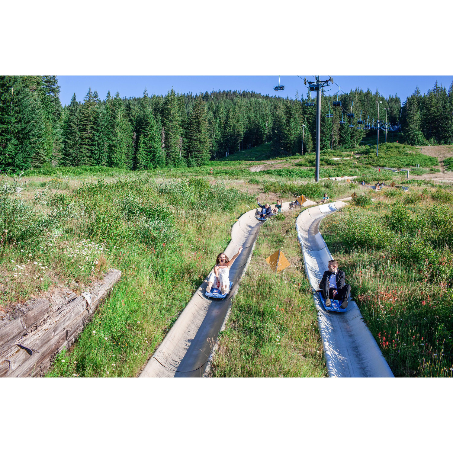 Alpine slide from ceremony to reception!