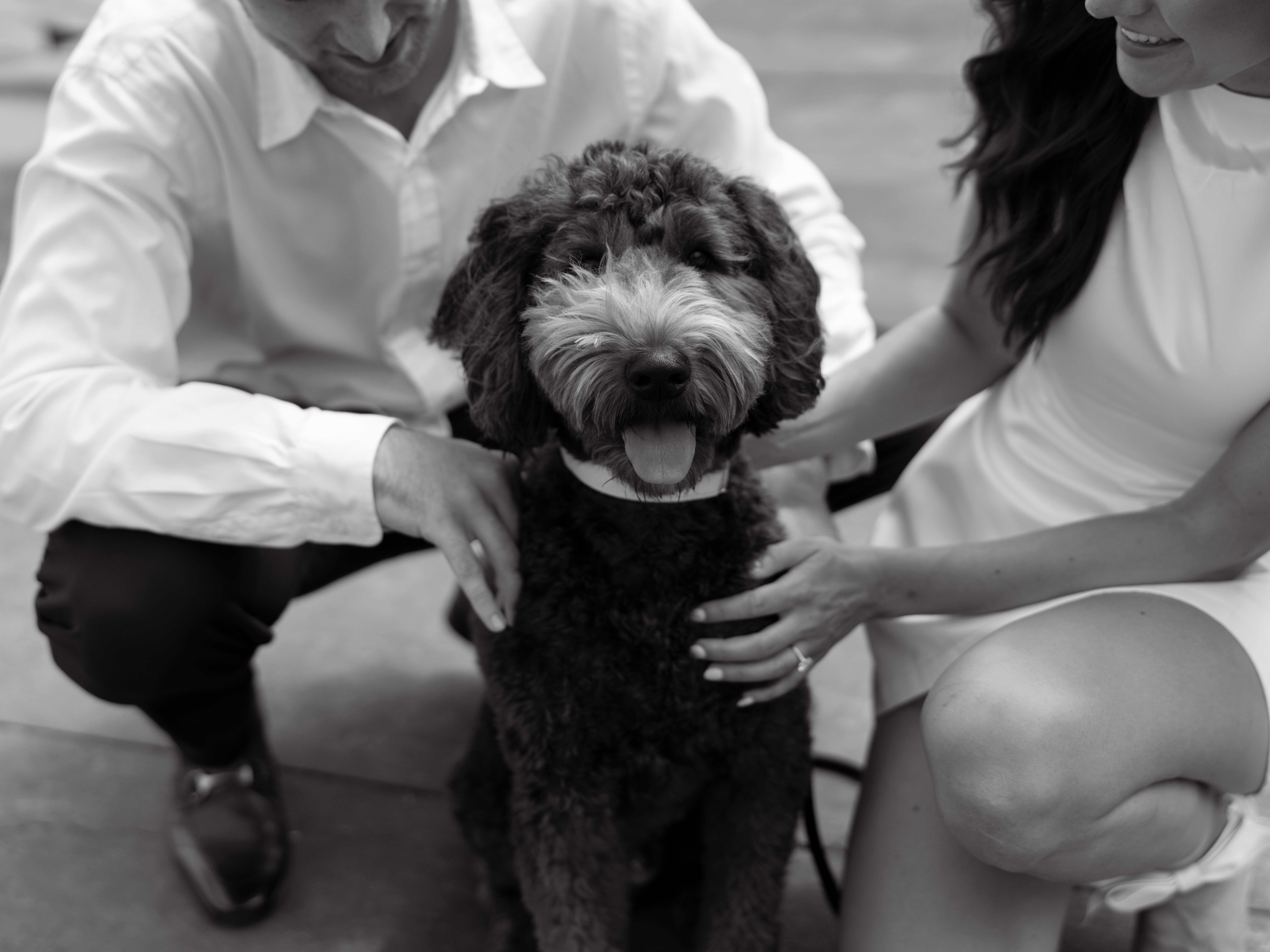 The Wedding Website of Steven Juzwiak and Anna Baran