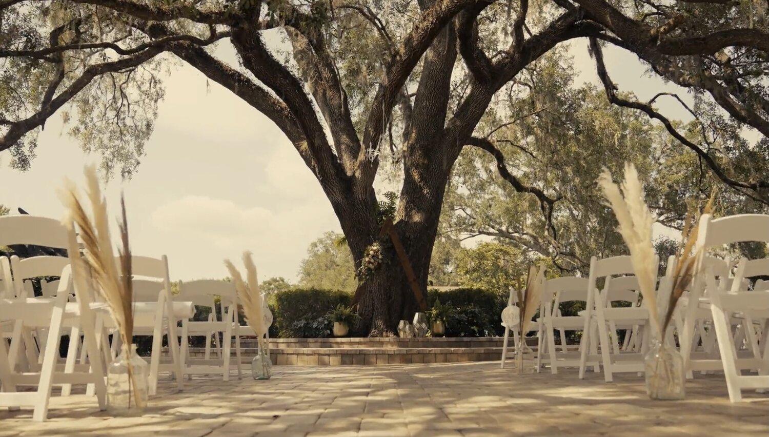 The Wedding Website of Daisy Gutierrez and Jacob Walton