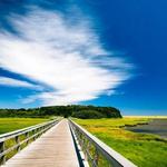 Cape Cod Rail Trail