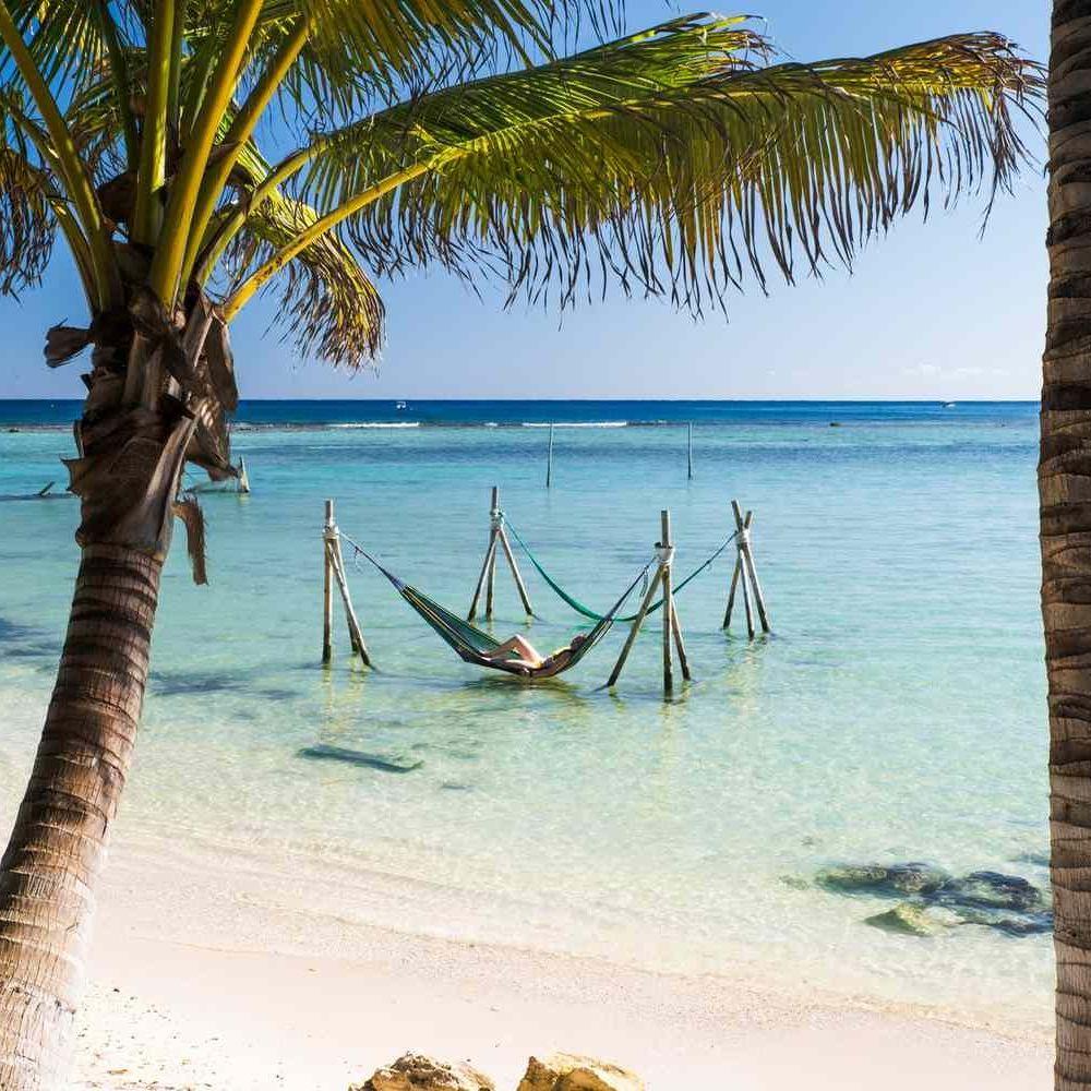 Lounge in a hammock on the beach, perfect for reading, relaxing, or just listening to the ocean