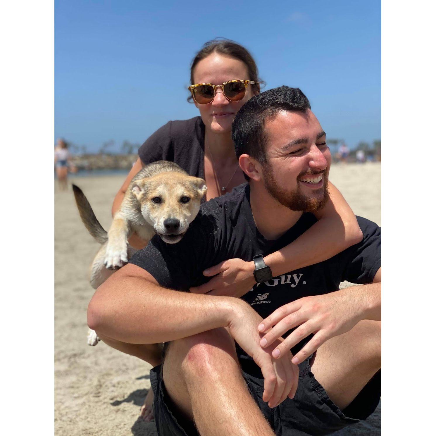 Our first trip to the dog beach with Granger, May 2020.