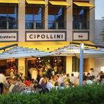 Cipollini