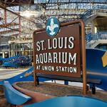 St. Louis Aquarium at Union Station