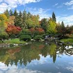 Walk, bike or run the Burke Gilman Trail