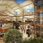 Shopping - Bellevue Square